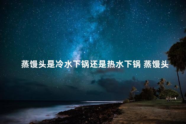 蒸馒头是冷水下锅还是热水下锅 蒸馒头是冷水蒸还是开水蒸